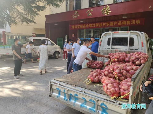 黨建引領消費扶貧，助力脫貧攻堅——漯河實驗高中開展結對幫扶村農副產品銷售活動