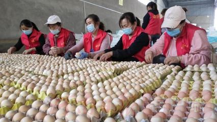 搭乘'電商號'，尉氏農(nóng)副產(chǎn)品駛向鄉(xiāng)村振興'站臺'