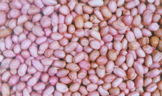 湖北花生產(chǎn)業(yè)鏈 從種植到銷售的全方位解析