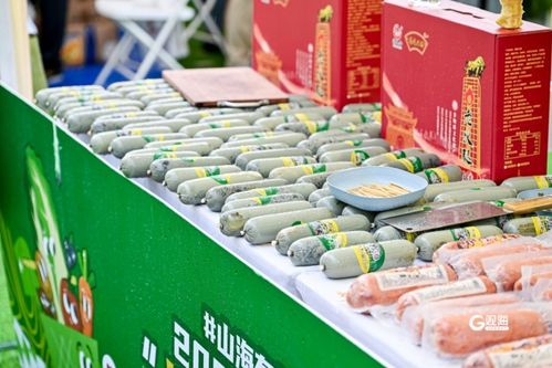 青島農品 以品牌之光，照亮鄉村振興之路——2024青島品牌日農副產品展銷盛況紀實