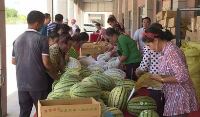 白云人組團采購逾1.5萬個新疆西瓜，愛心接力解滯銷燃眉之急